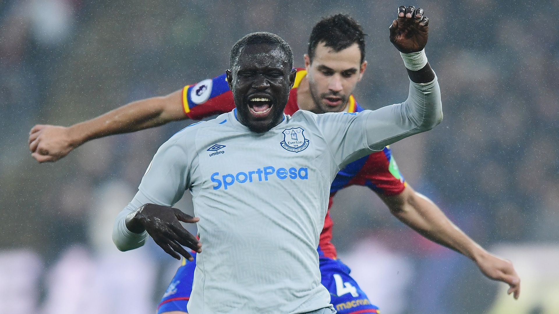 Niasse Palace Everton Premier League 11182017