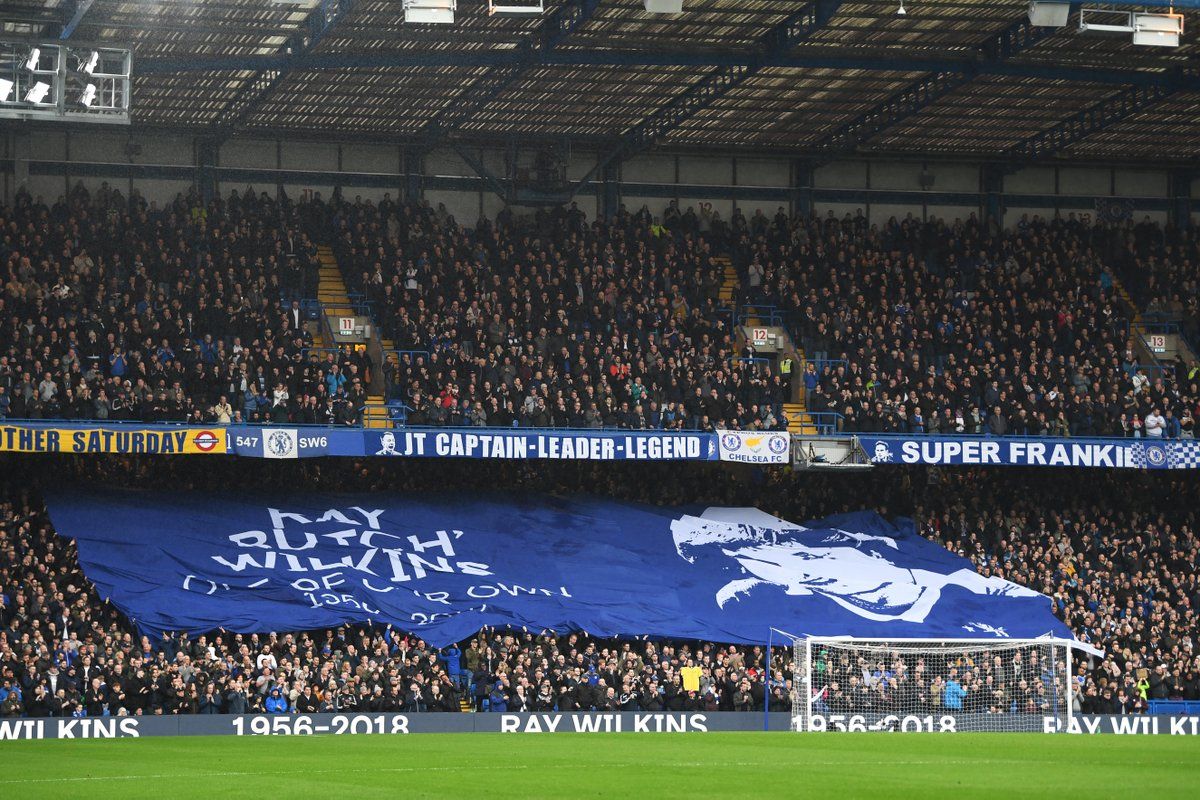 chelsea ray Wilkins