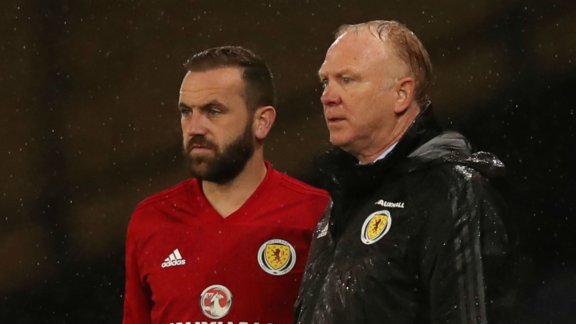 James McFadden Alex McLeish Scotland