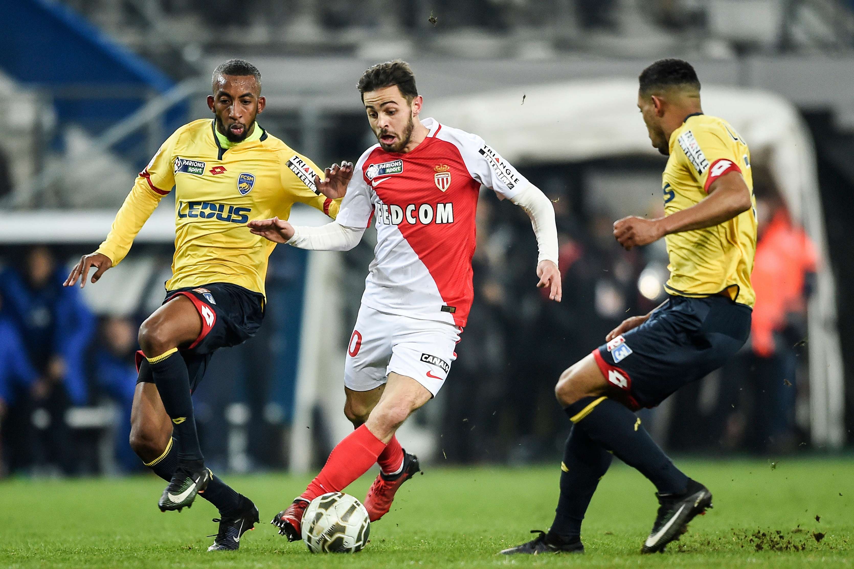 Bernardo Silva Monaco