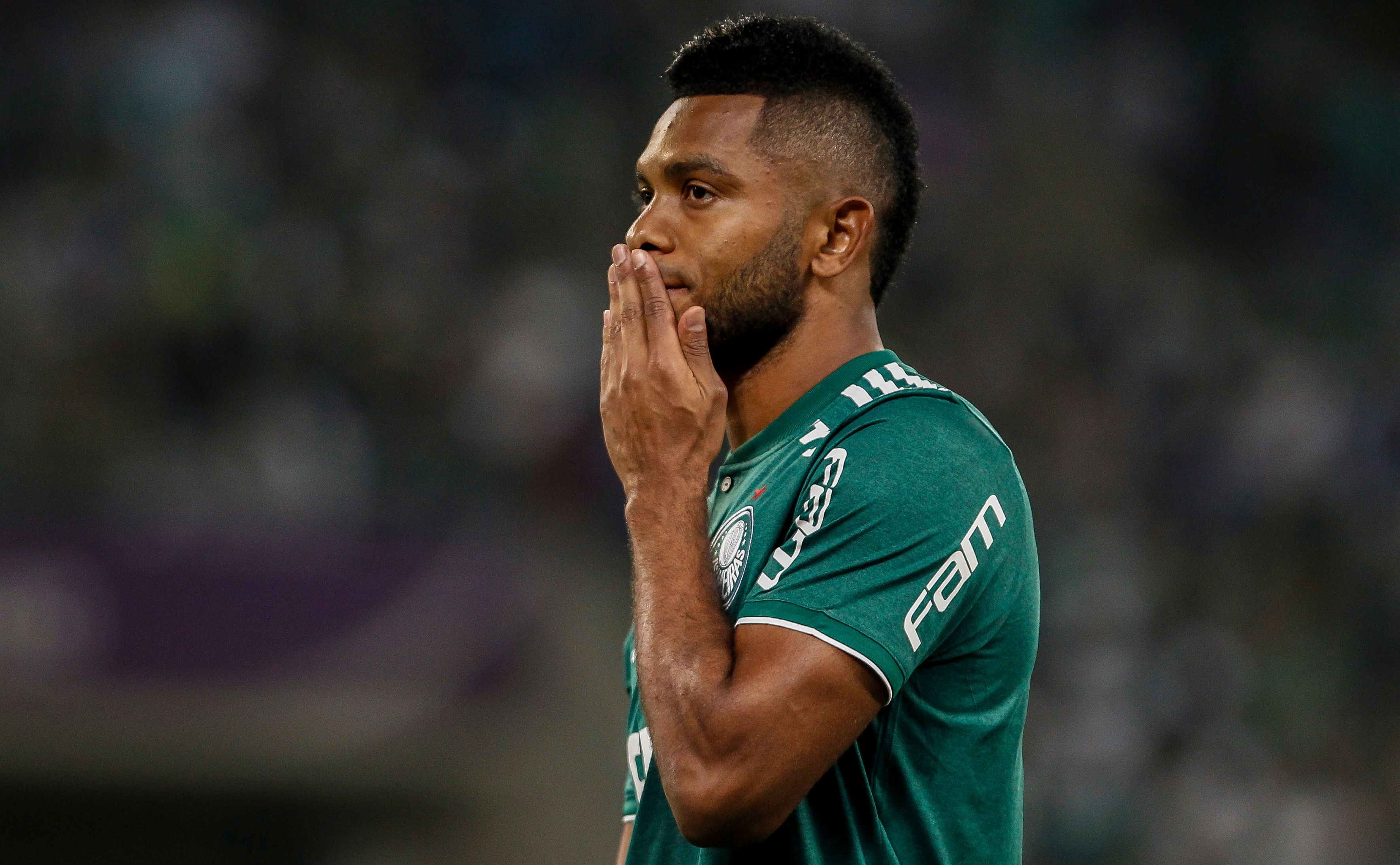 Borja Palmeiras