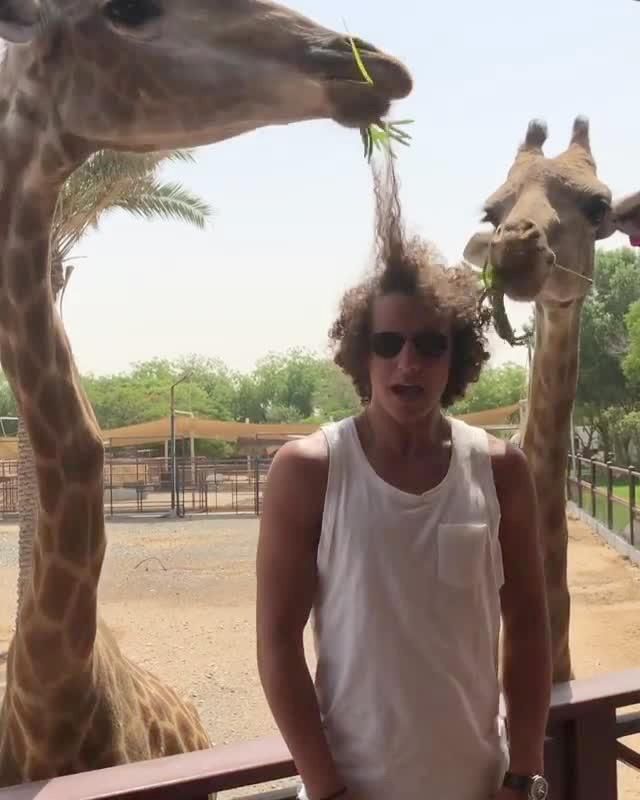 David Luiz giraffe