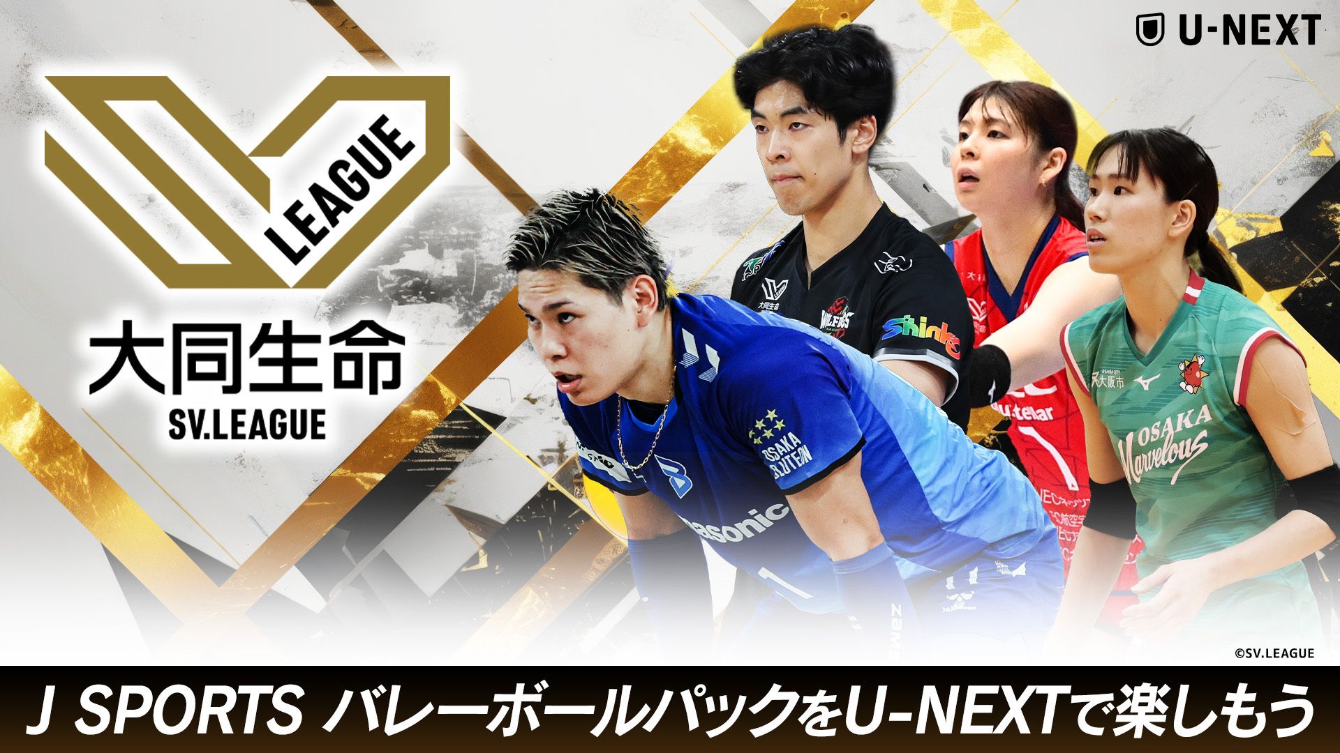 SV League
