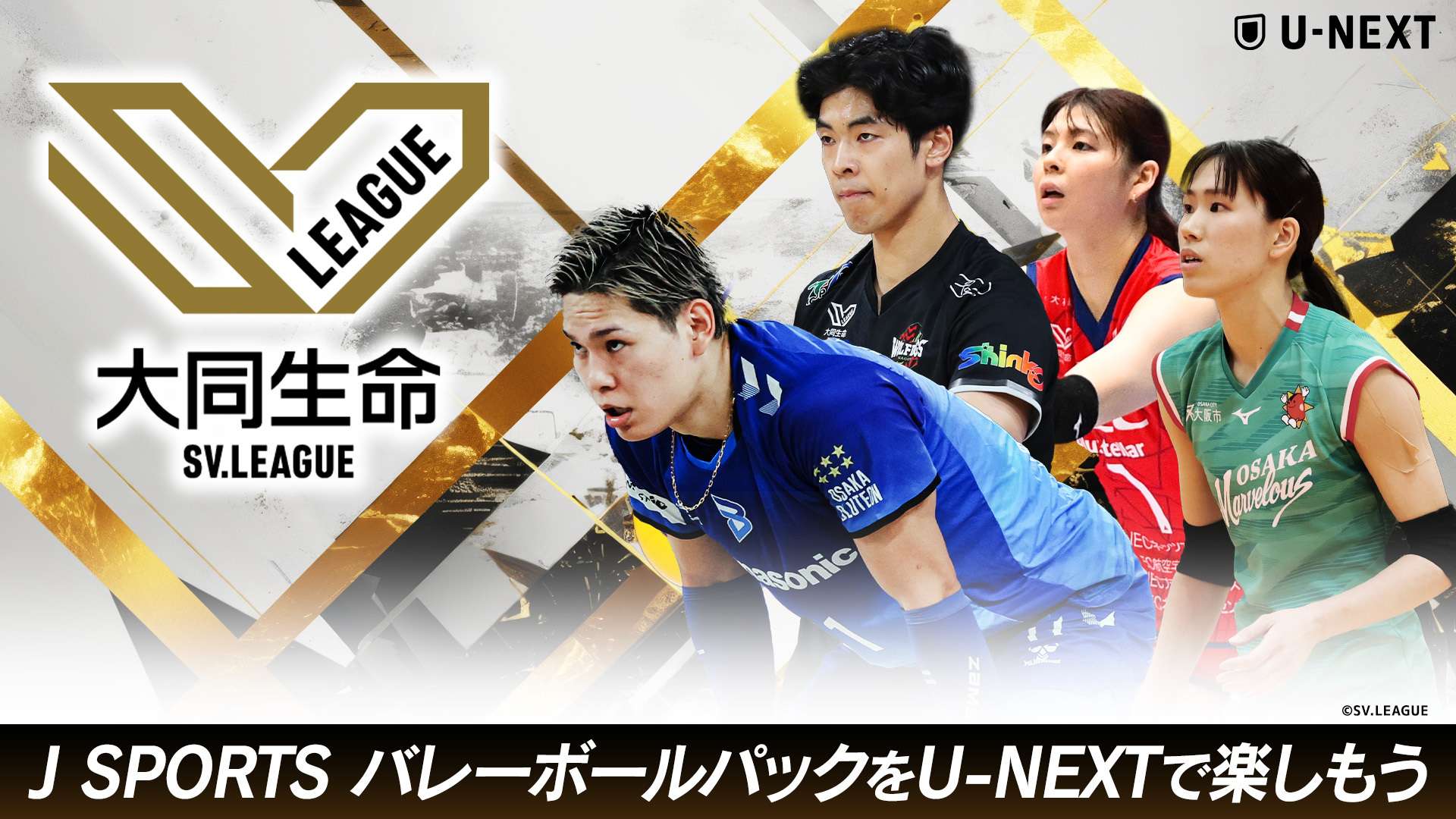SV League