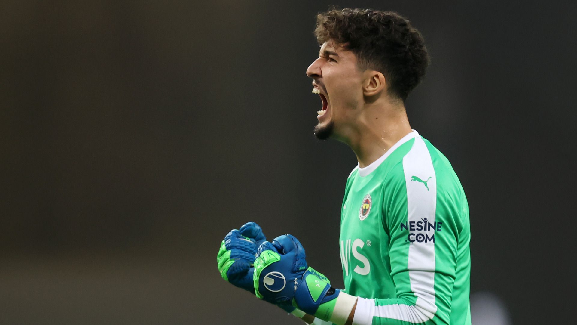 Altay Bayindir, Fenerbahce