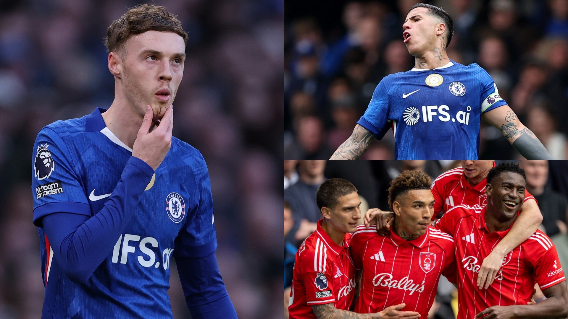 Palmer Fernandez Chelsea Forest GFX