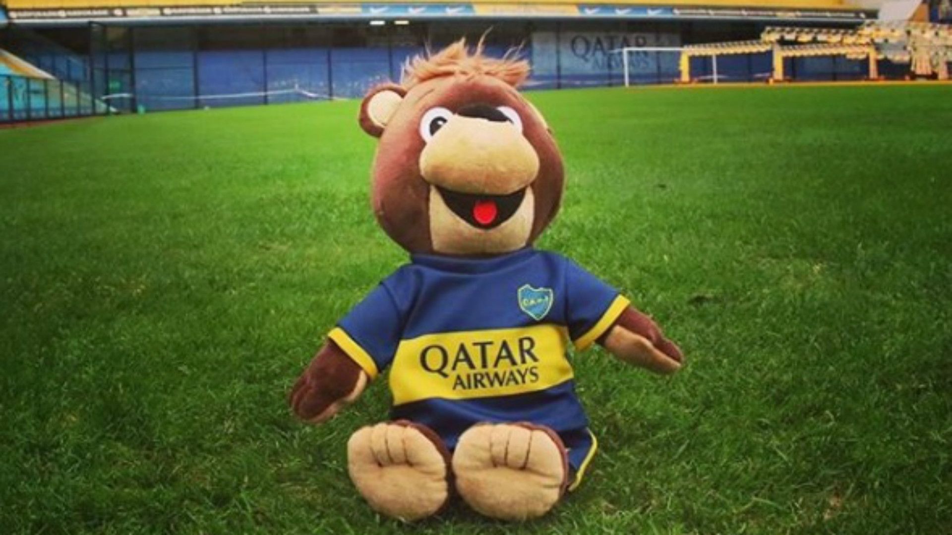 Oso Jano Boca Mascota