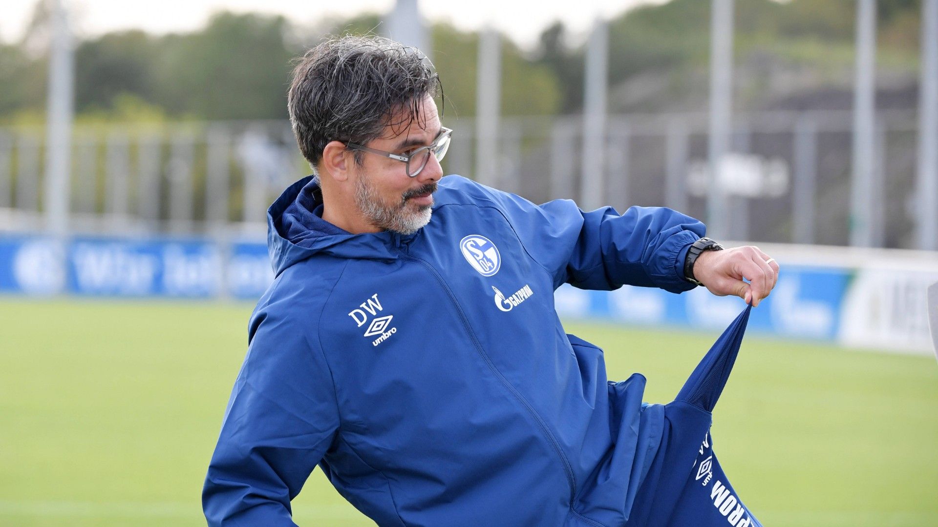 GER ONLY David Wagner Schalke 04