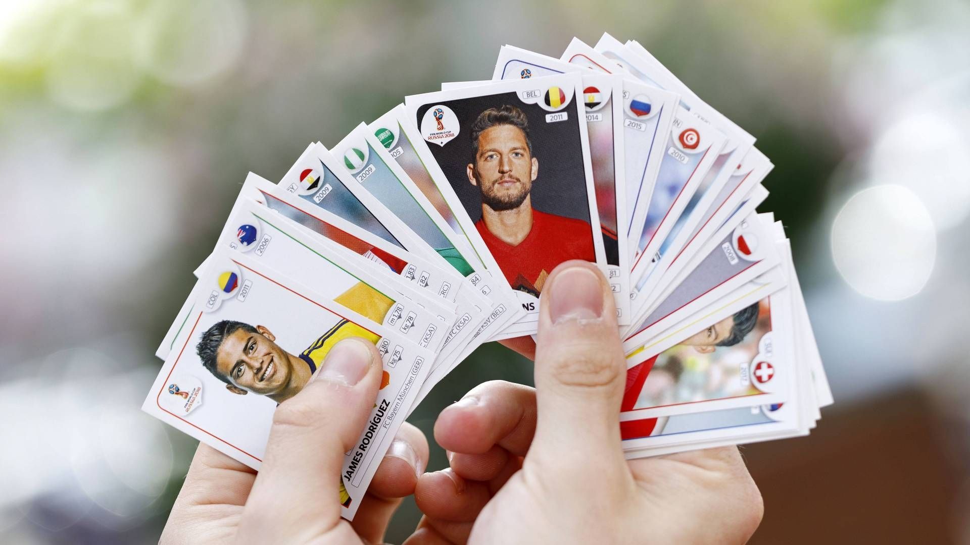 GER ONLY Sammelkarten Bilder Sticker