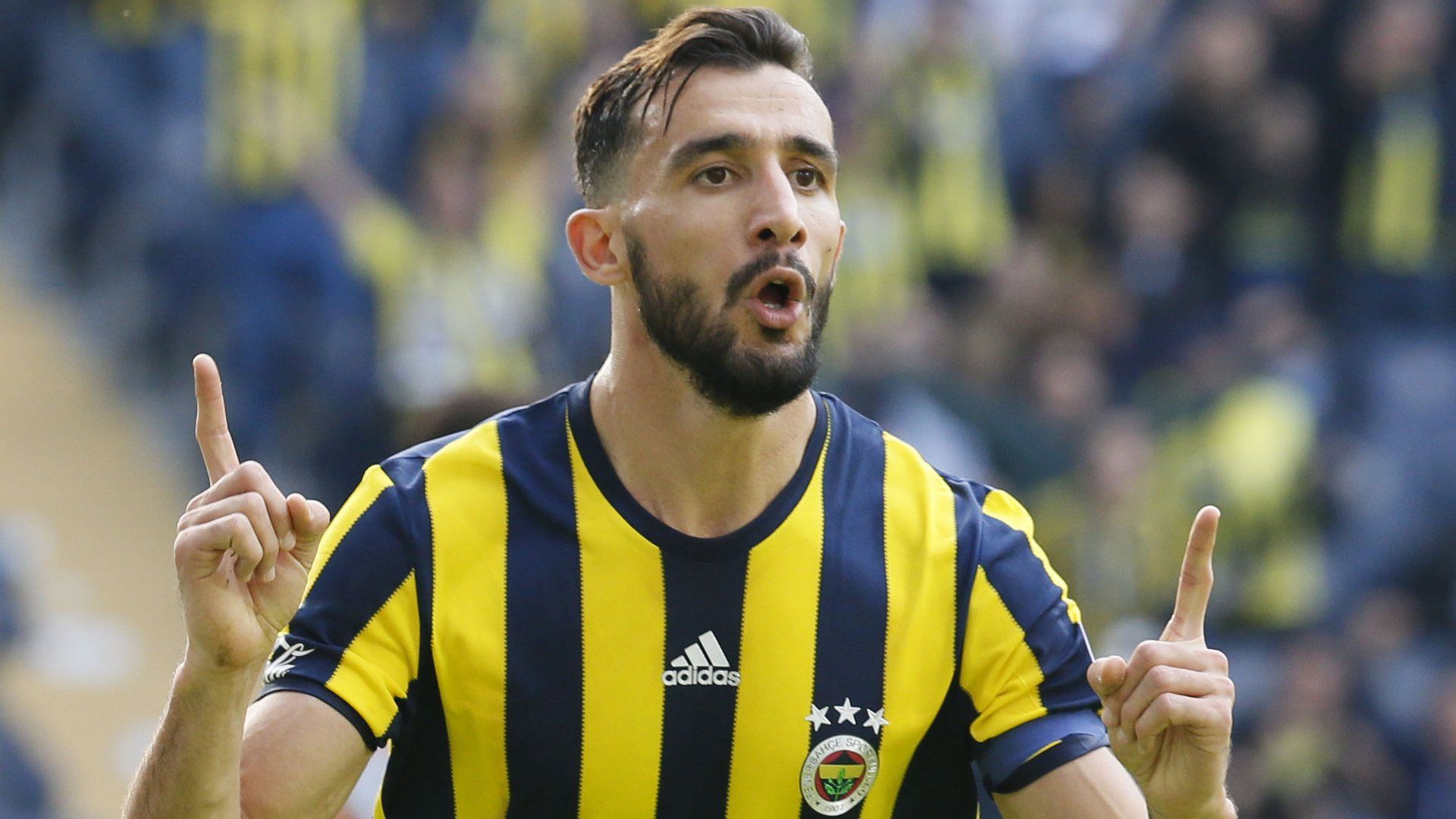Mehmet Topal Fenerbahce
