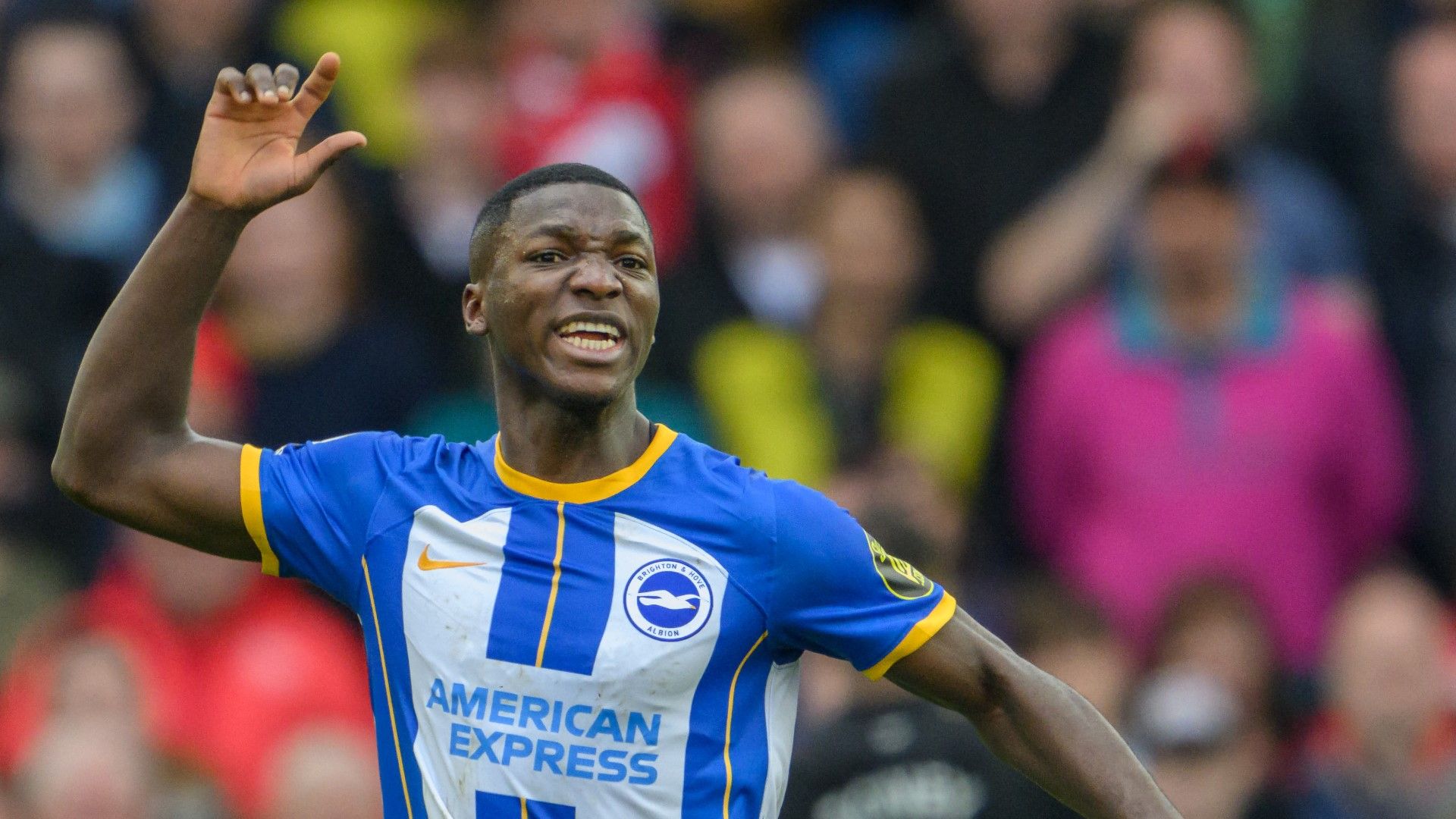 Moises Caicedo 2022-23