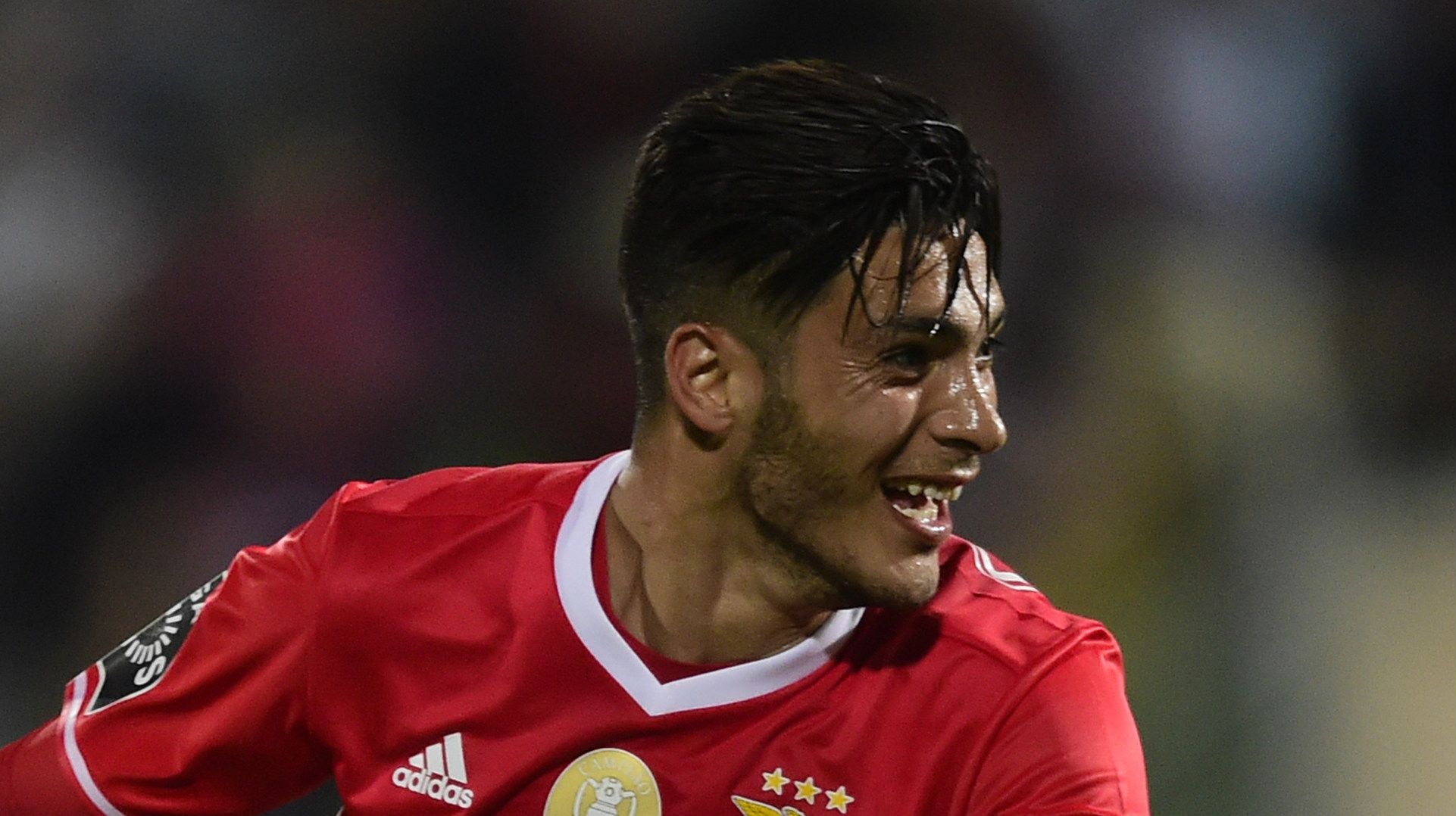 Raul Jimenez Benfica