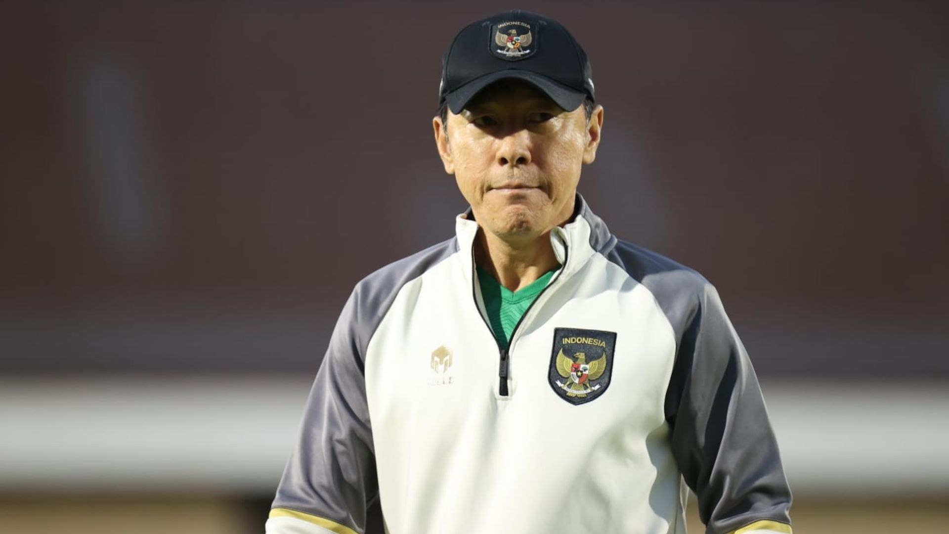 Shin Tae-yong - Timnas Indonesia