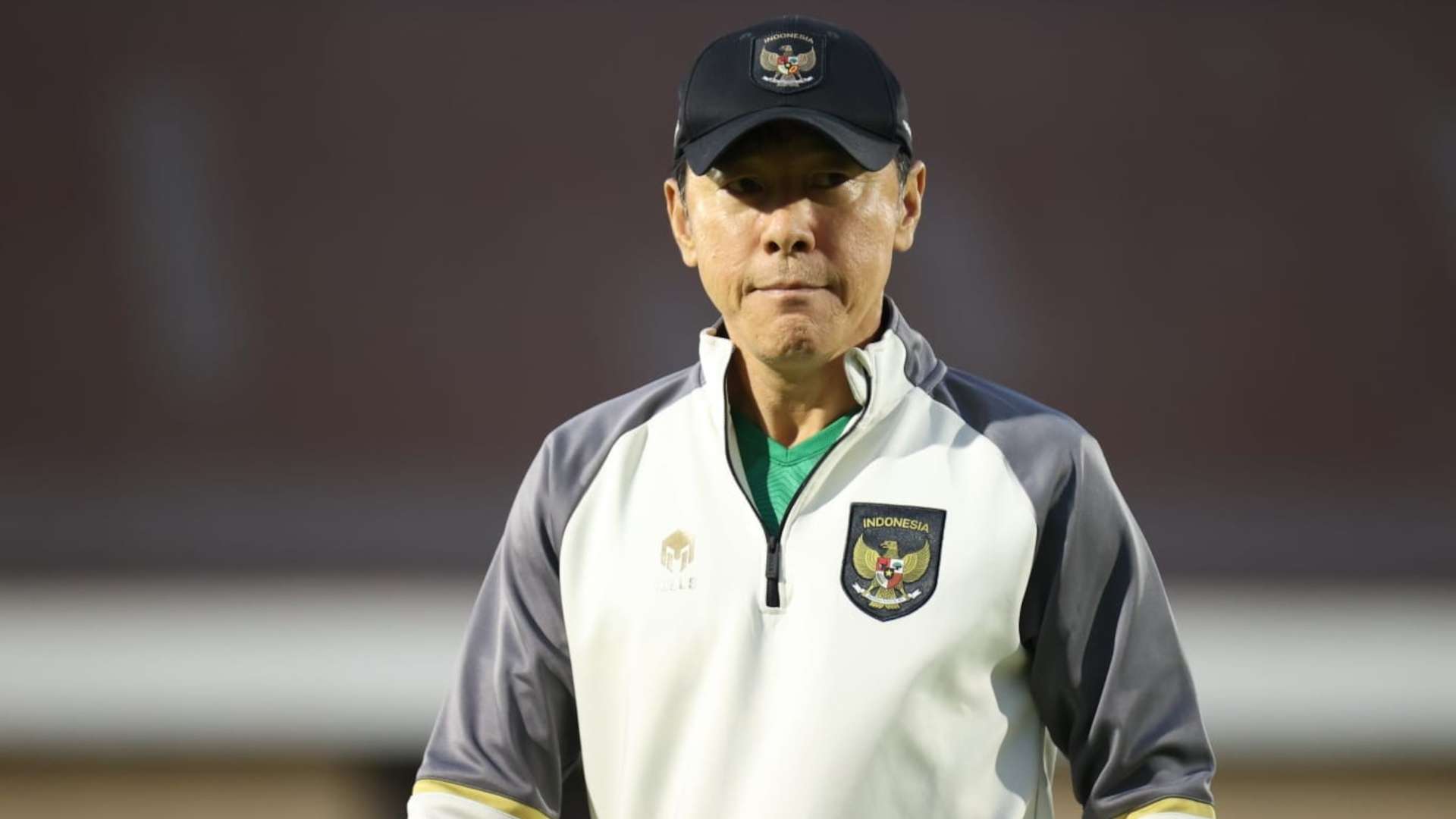 Shin Tae-yong - Timnas Indonesia