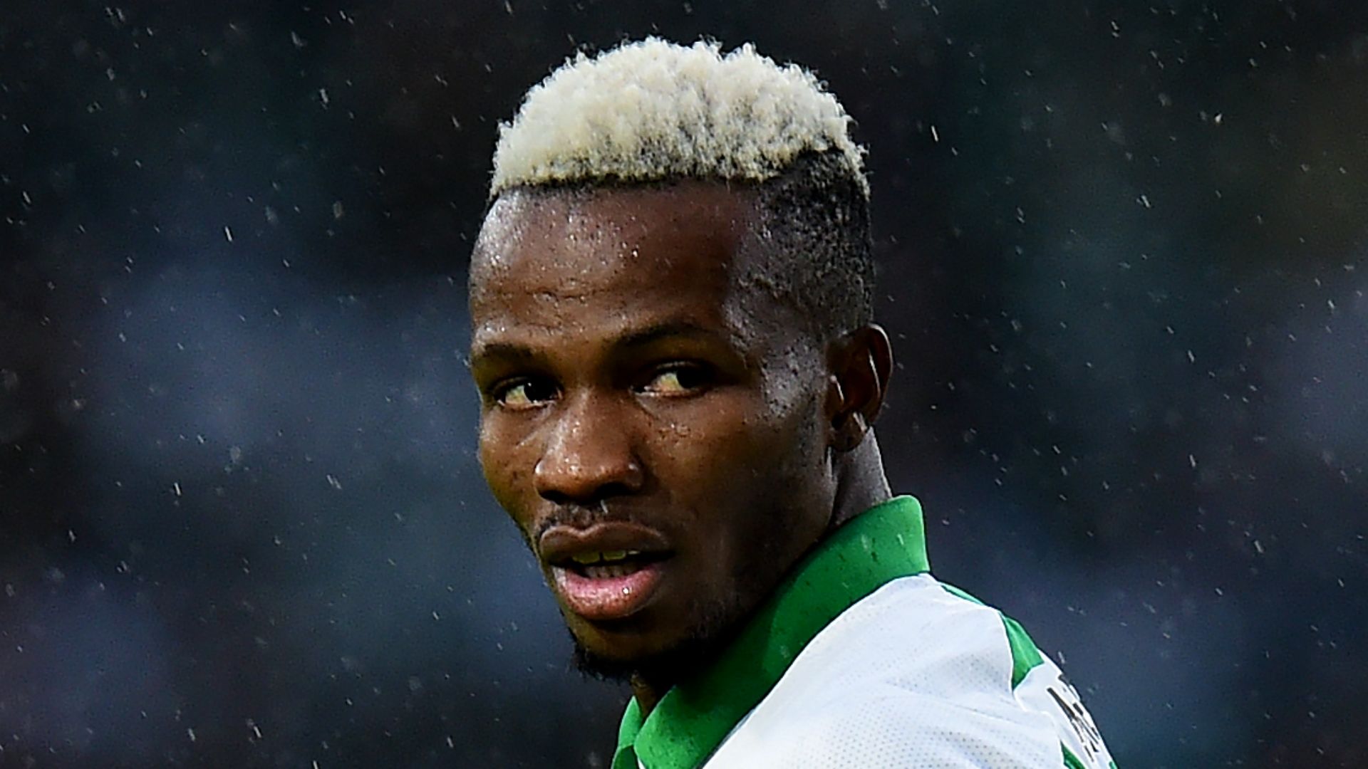 bolibolingoli - Cropped