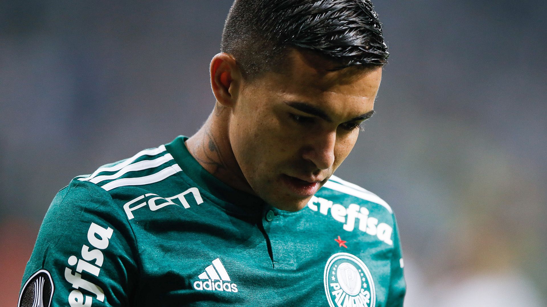 Dudu Palmeiras Colo Colo Copa Libertadores 03102018