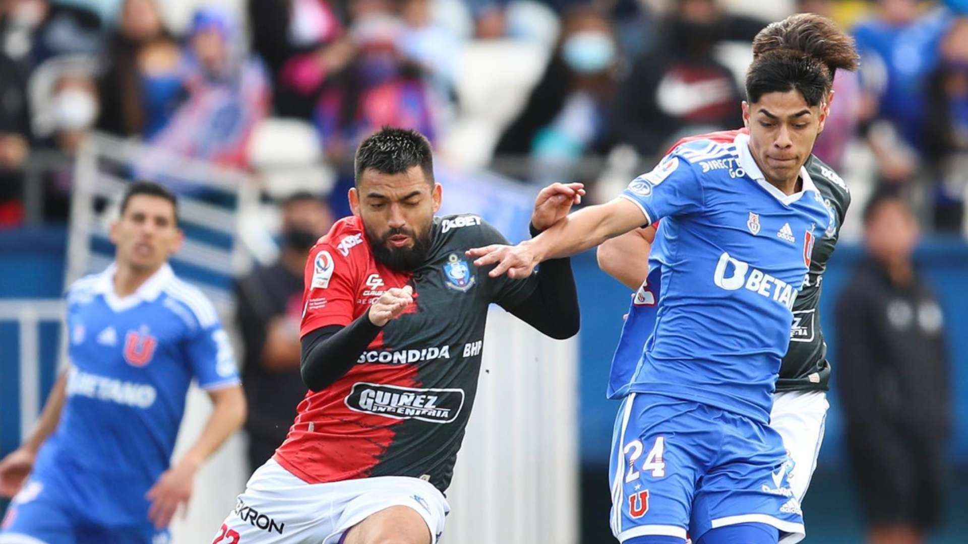 Universidad de Chile Deportes Antofagasta