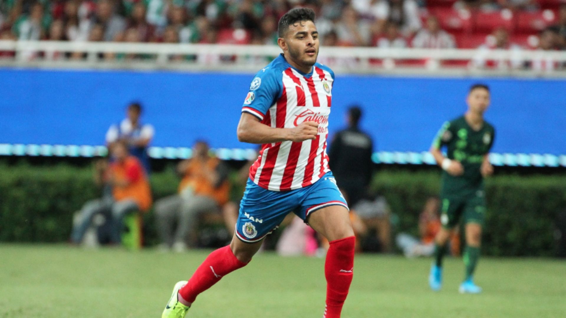 Chivas Alexis Vega
