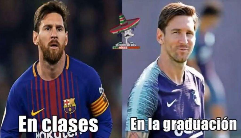 Memes The Best 240918