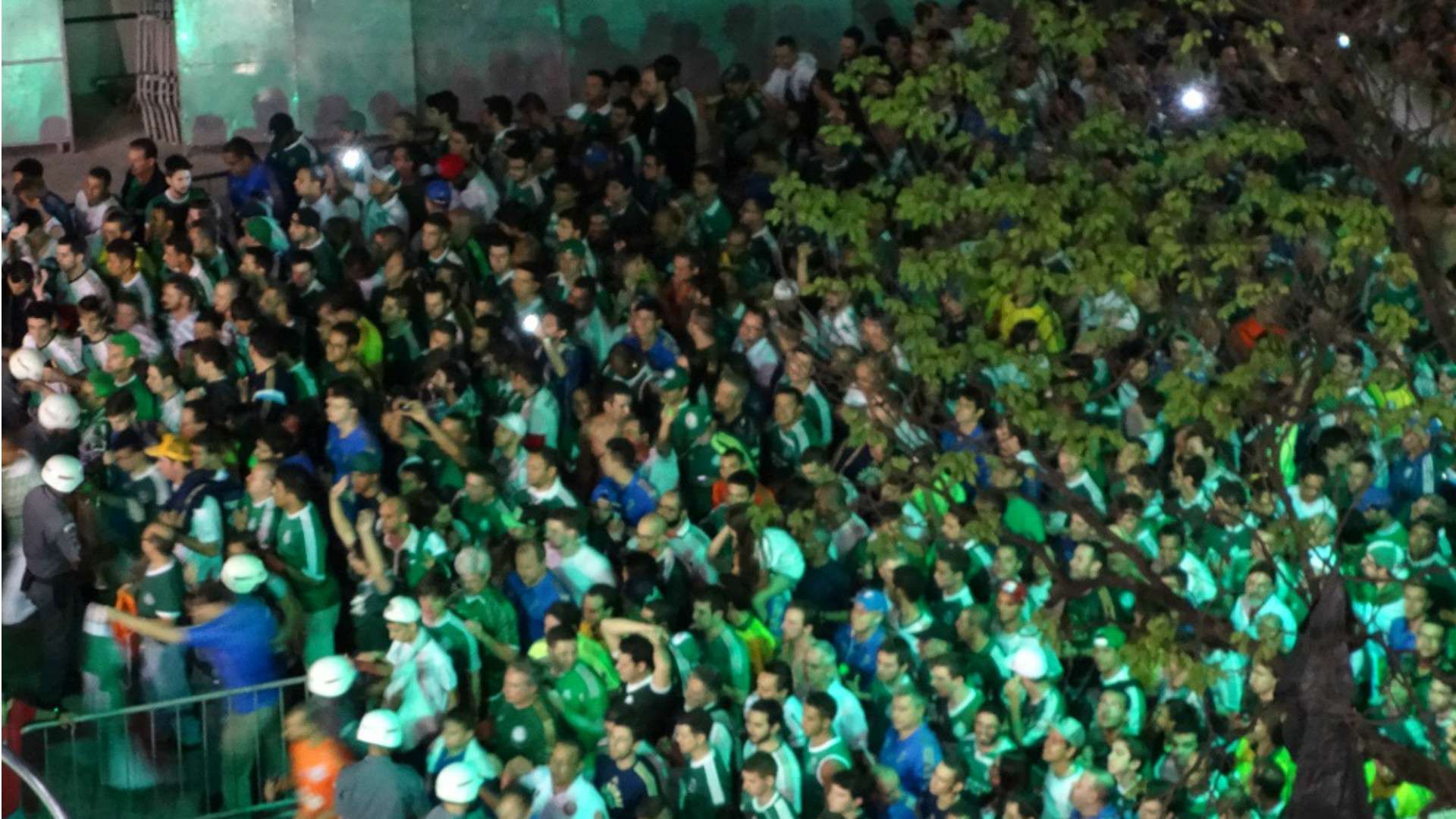 Allianz Parque - Palmeiras