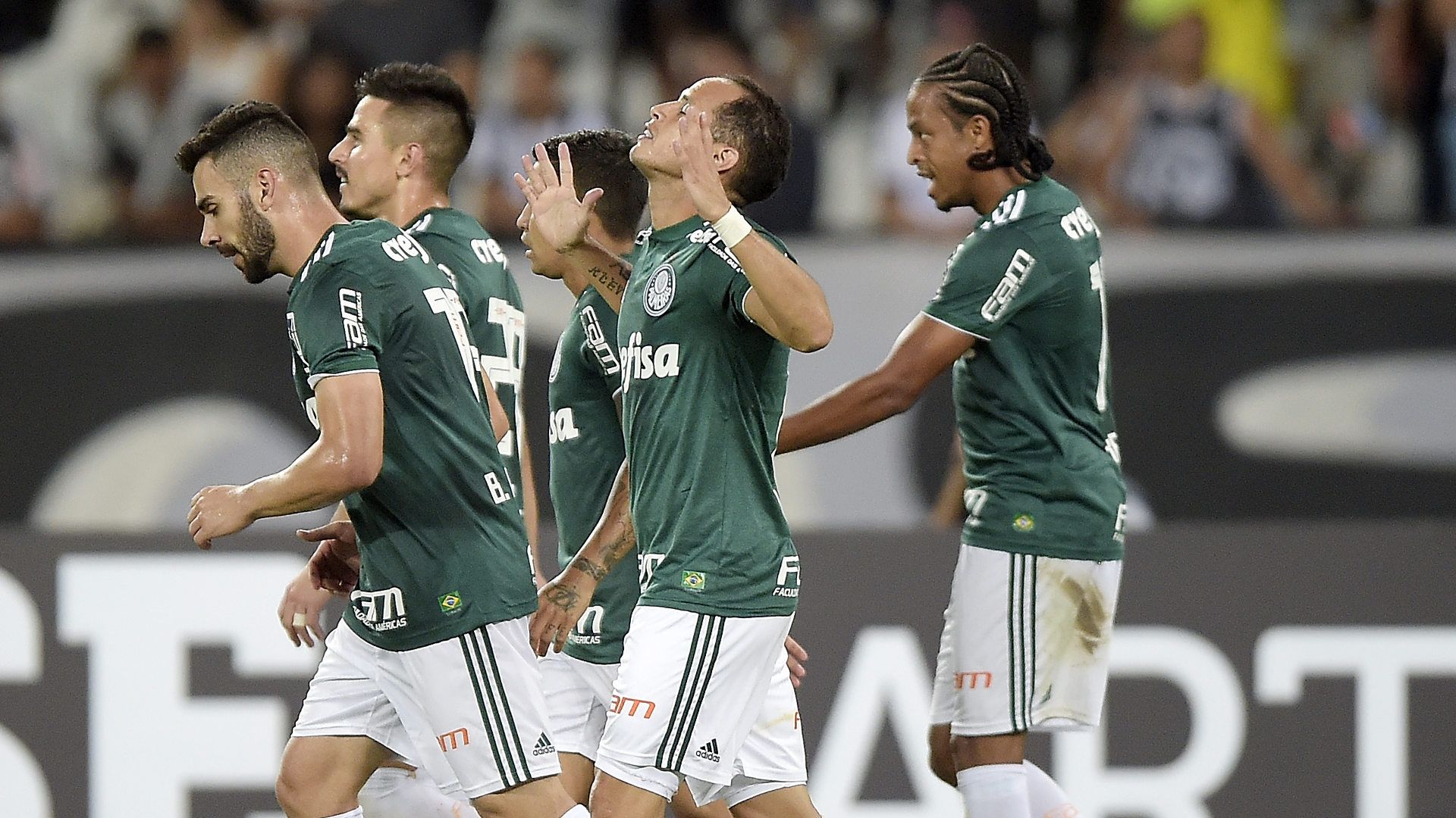 Alejandro Guerra Botafogo Palmeiras 16042018 Brasileirao Serie A
