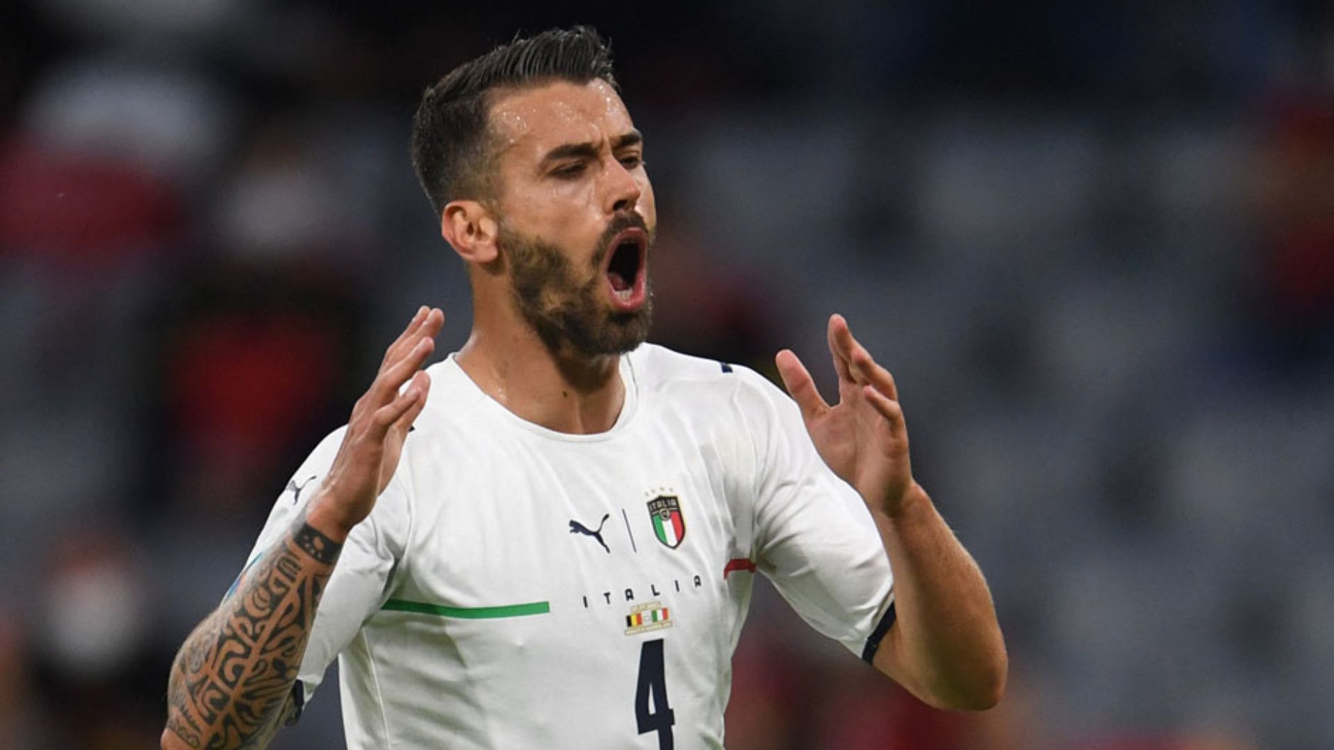LEONARDO SPINAZZOLA ITALY