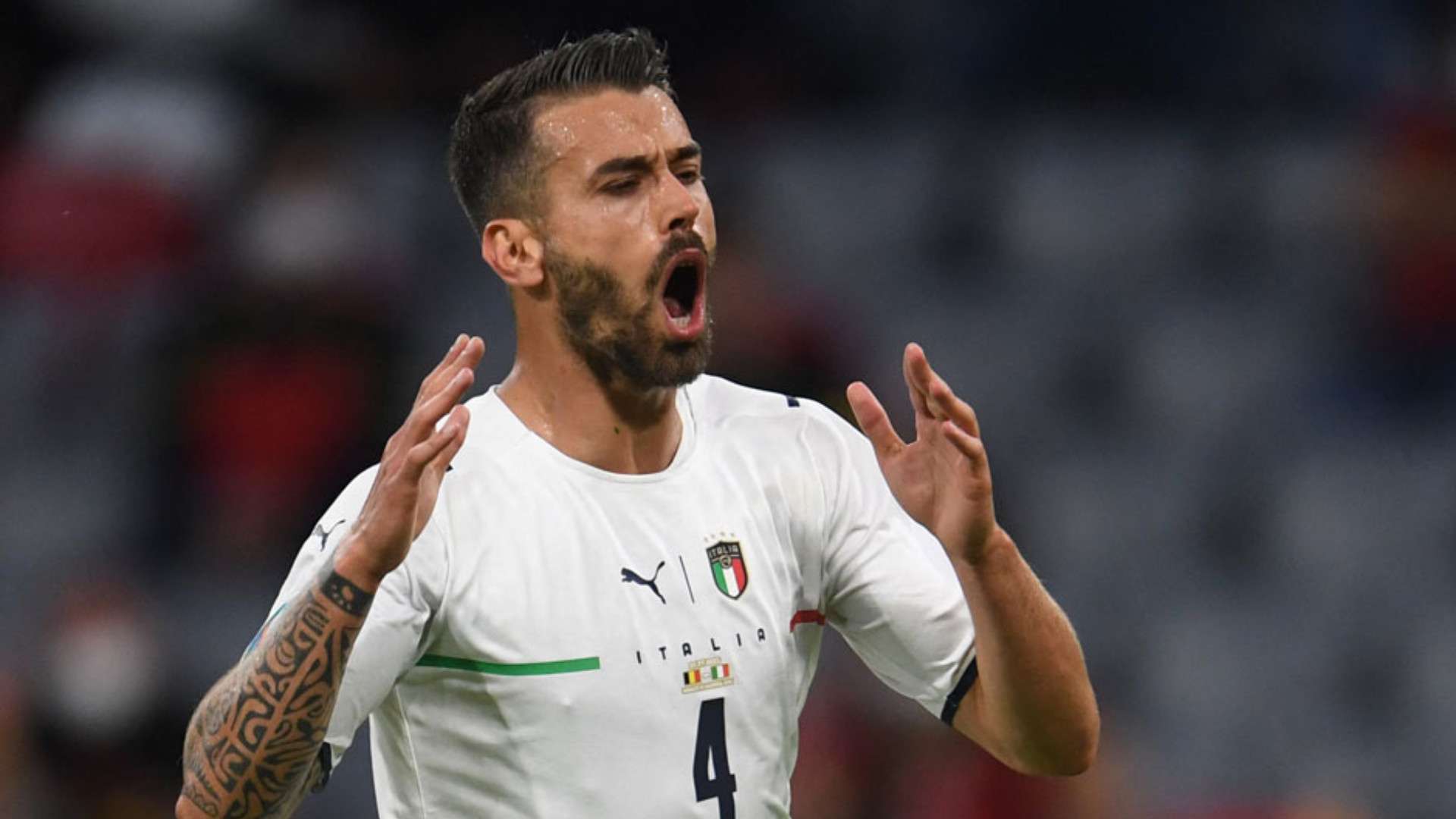 LEONARDO SPINAZZOLA ITALY