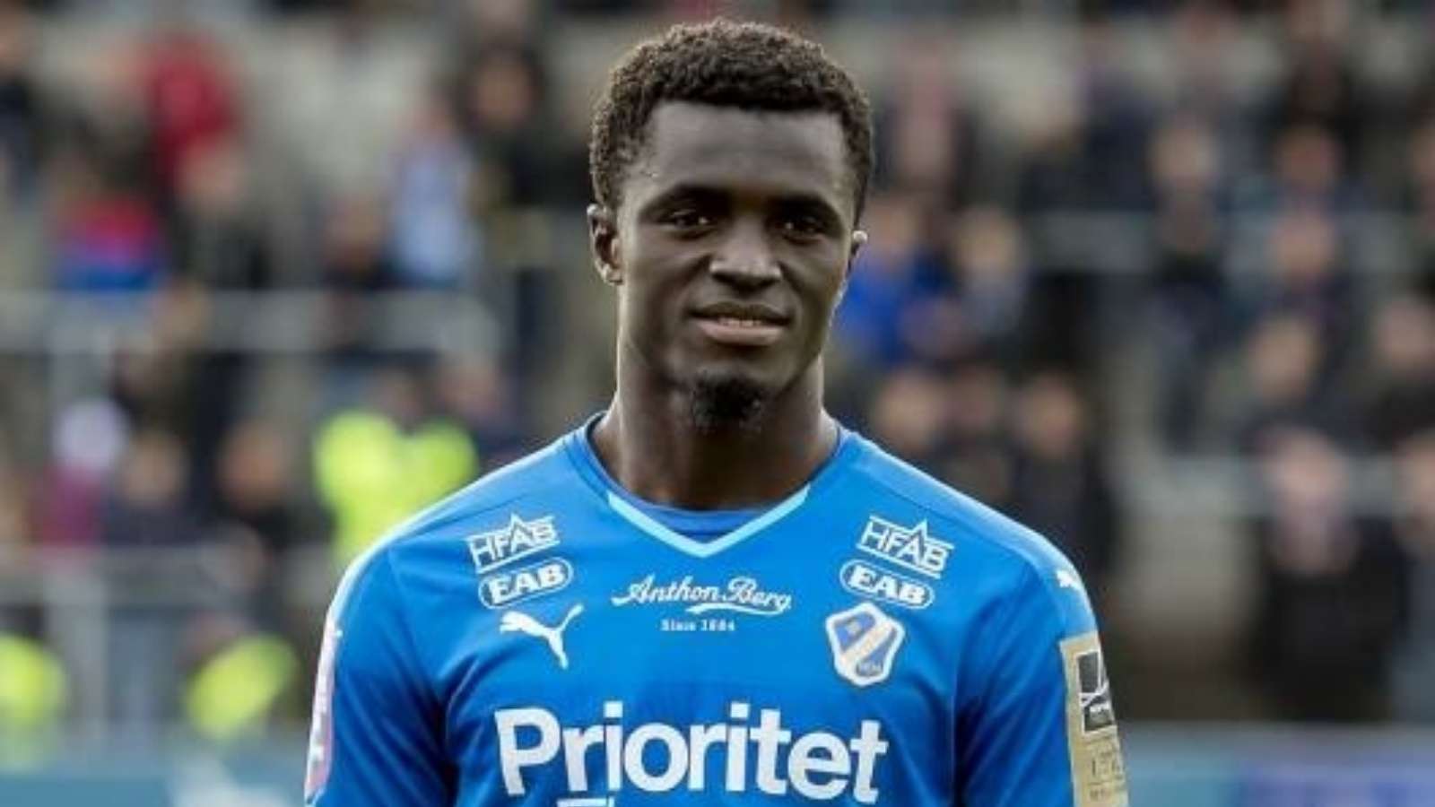 ความเม คาริคารี