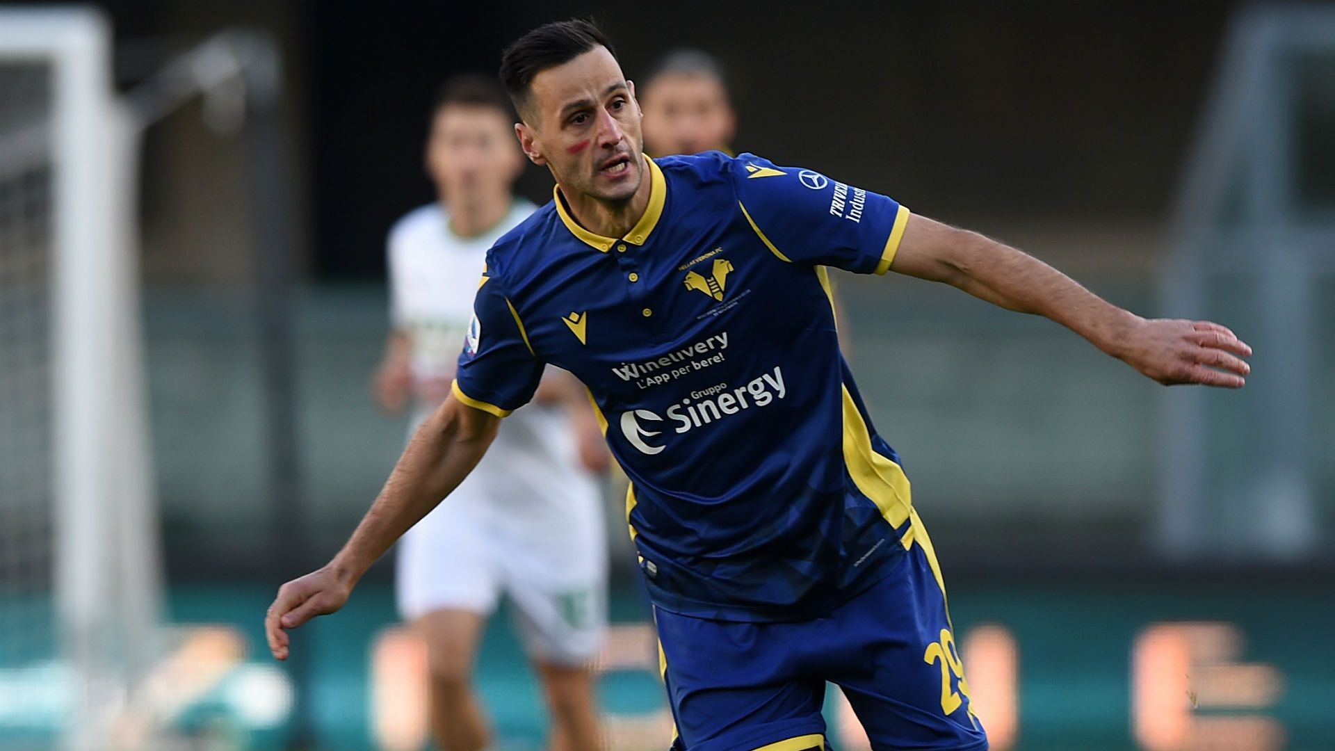 Kalinic Verona