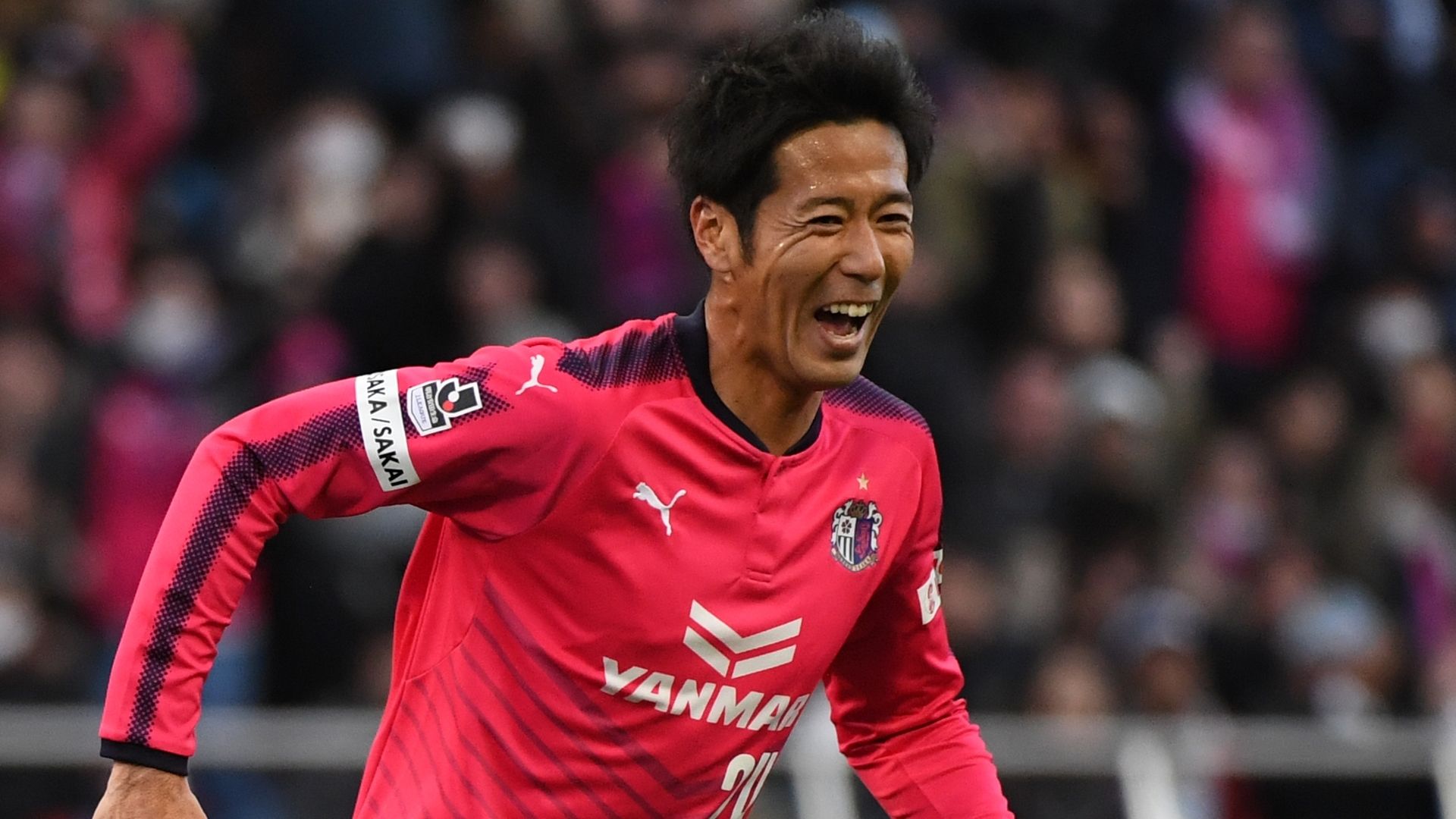 2018-01-01-cerezo