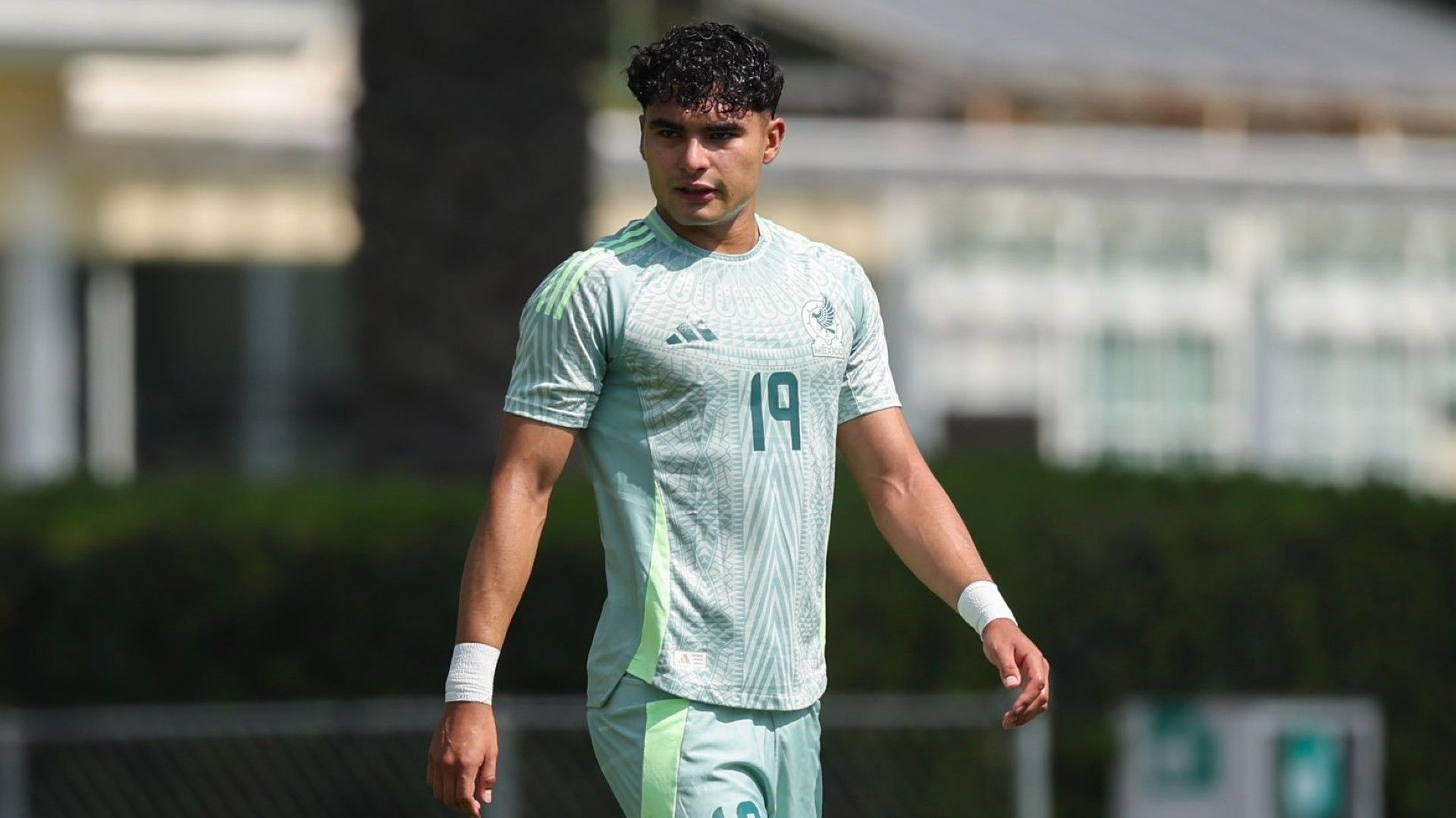 Stephano Carrillo México 2025