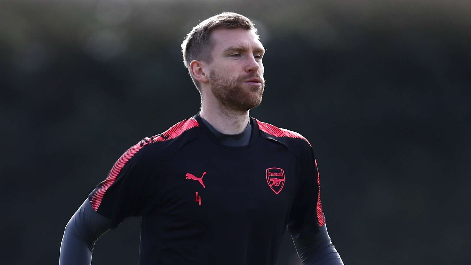 Per Mertesacker Arsenal