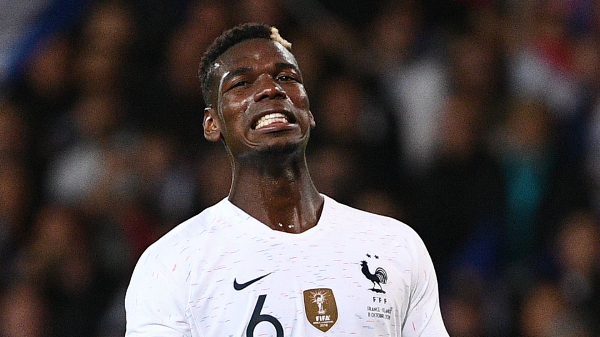 Paul Pogba France 2018