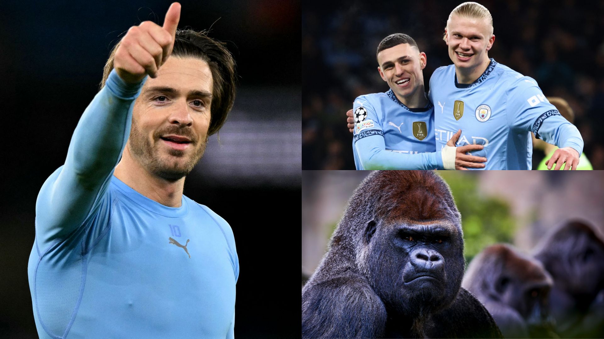 Jack Grealish Erling Haaland Phil Foden gorilla