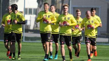 Wellington Phoenix A-League 24012017