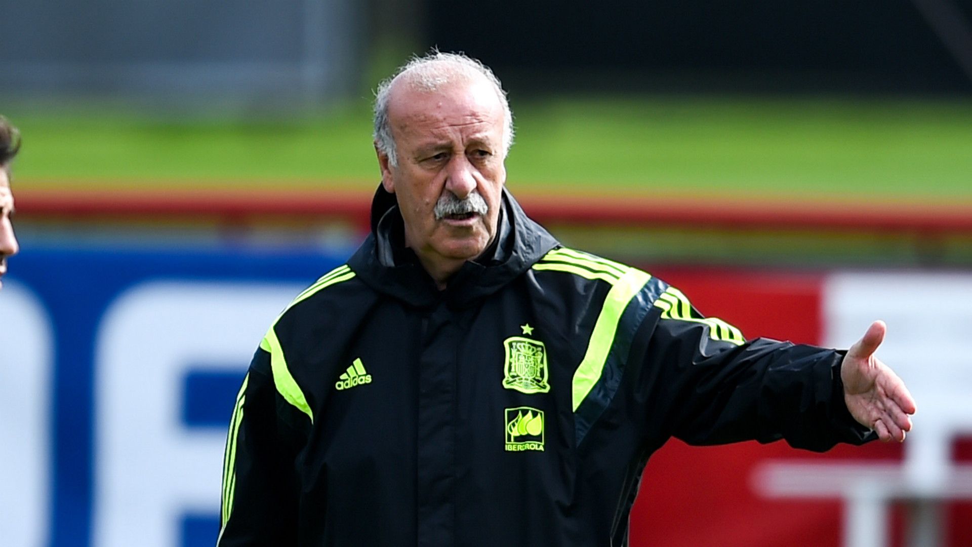 Vicente del Bosque Spain 21062014