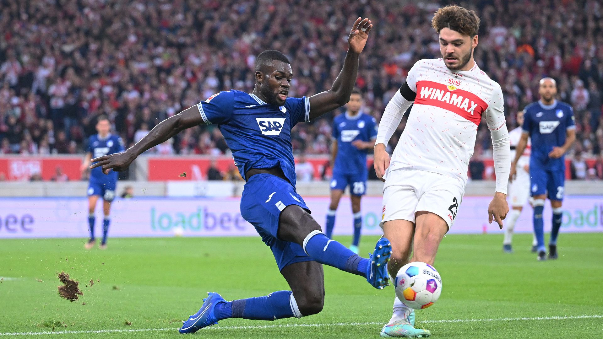 IHLAS BEBOU HOFFENHEIM