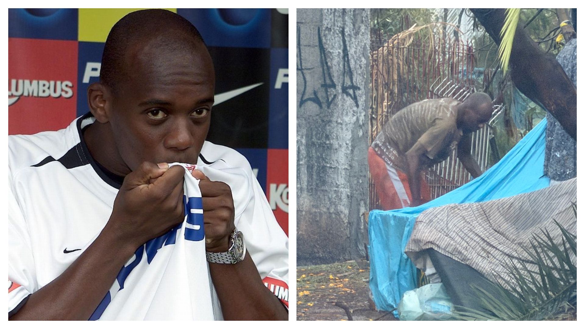 reges pitbull