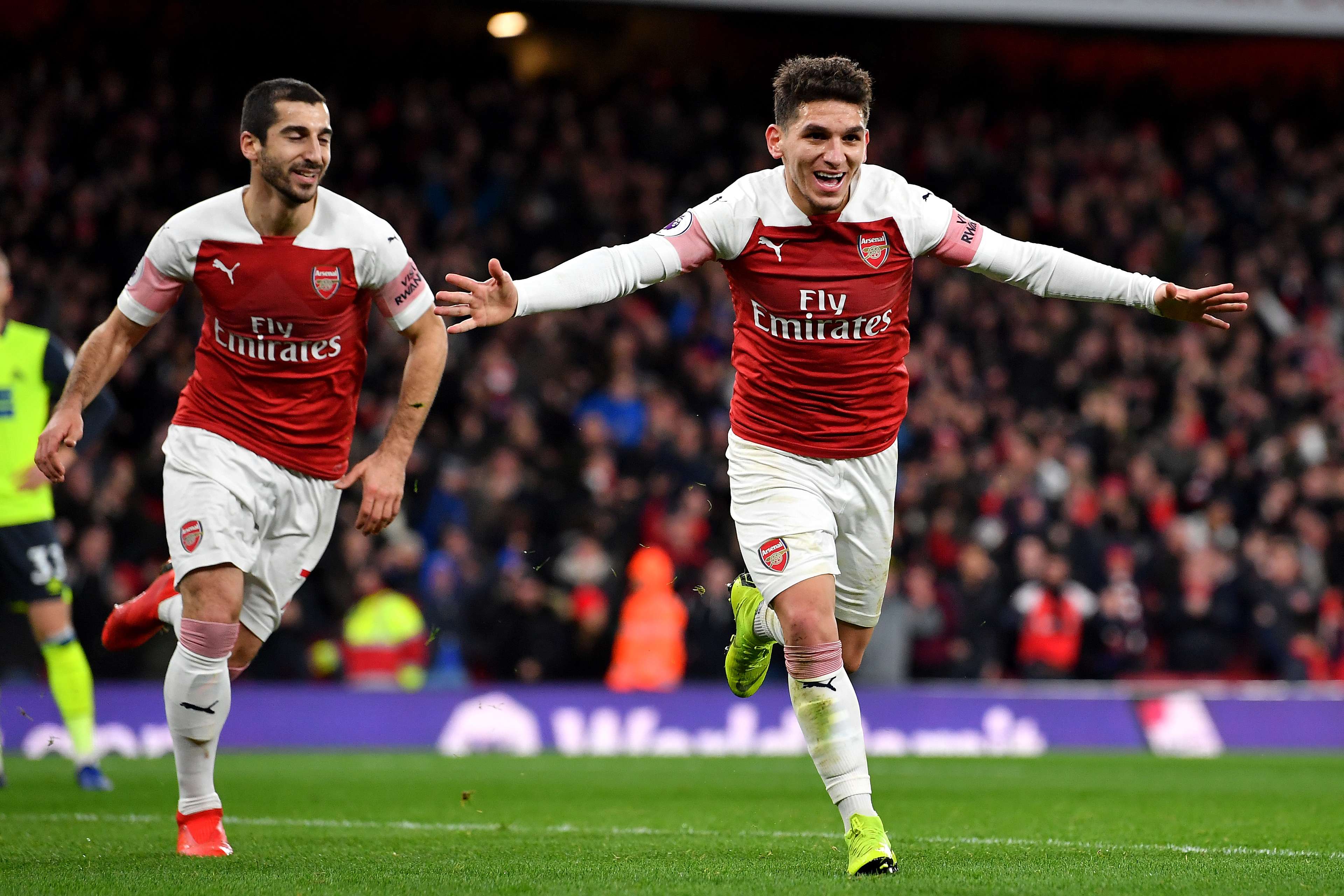 Torreira