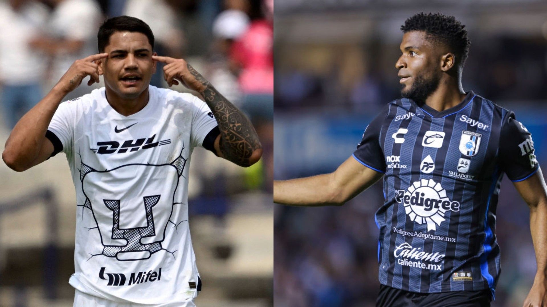 Pumas Querétaro VIVO Apertura 2023