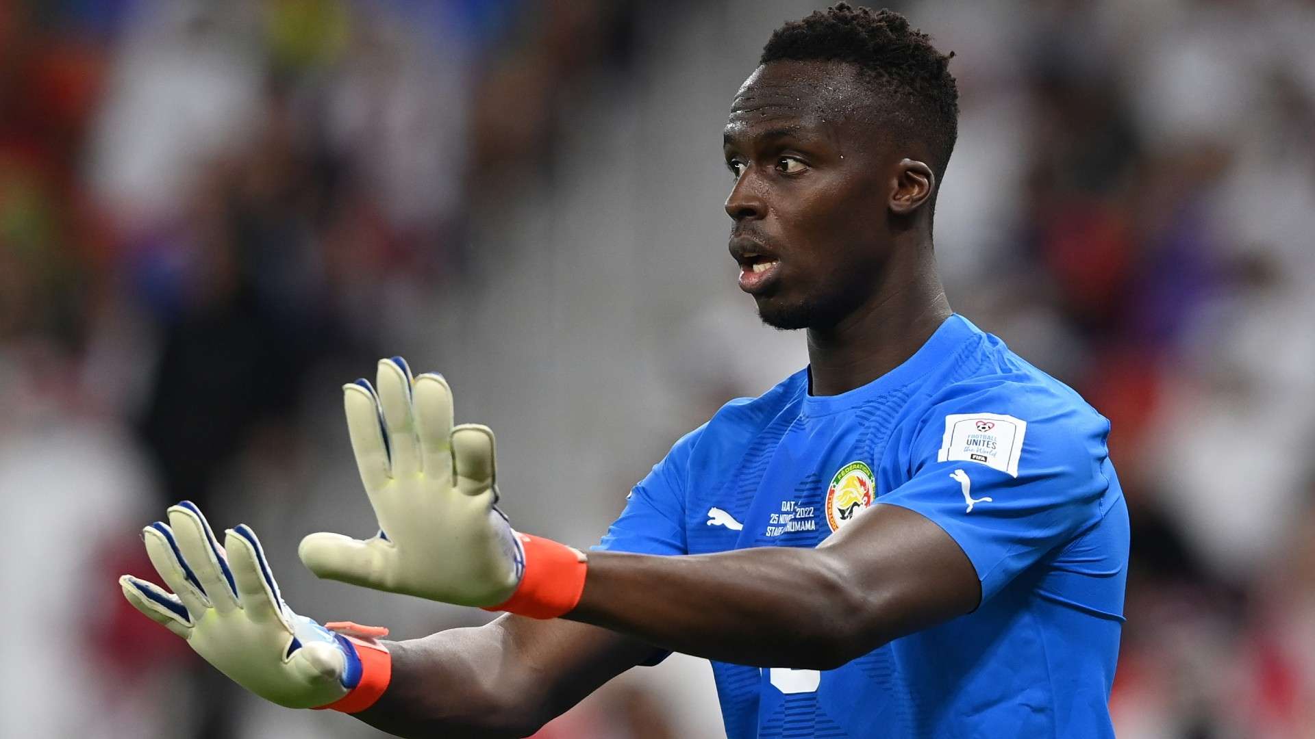 Edouard Mendy of Senegal