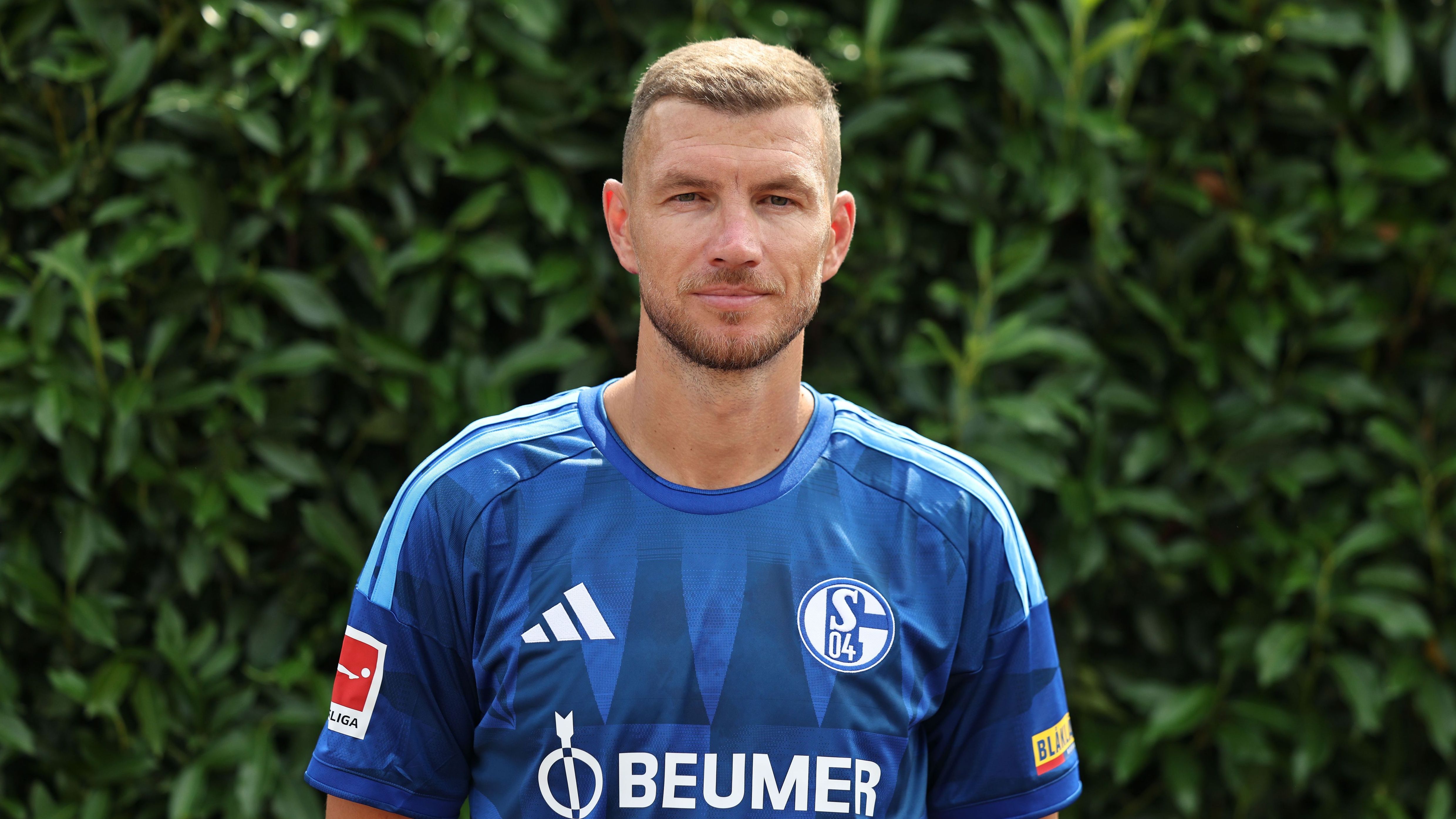 dzeko