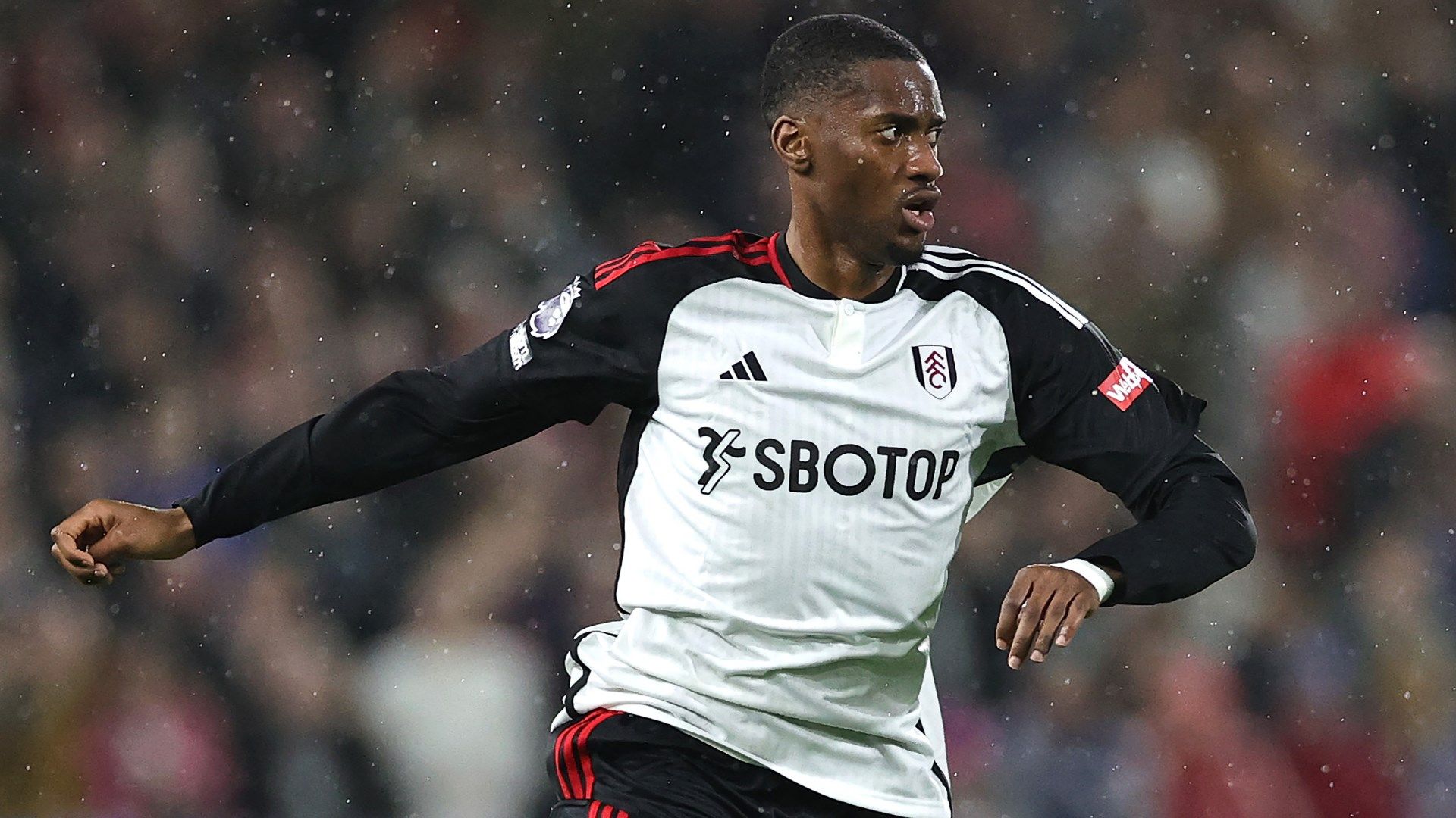 Tosin Adarabioyo Fulham 2023-24