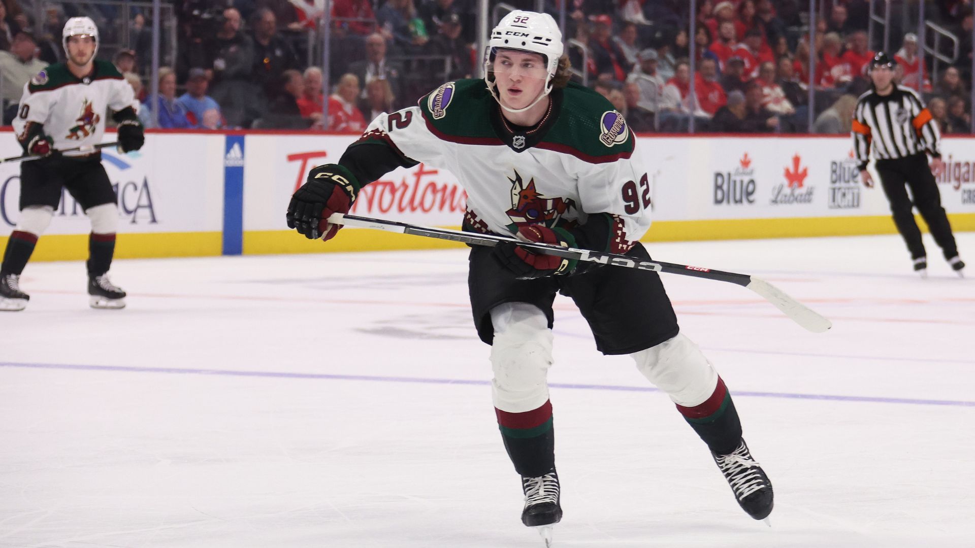 Arizona Coyotes vs Nashville Predators NHL game