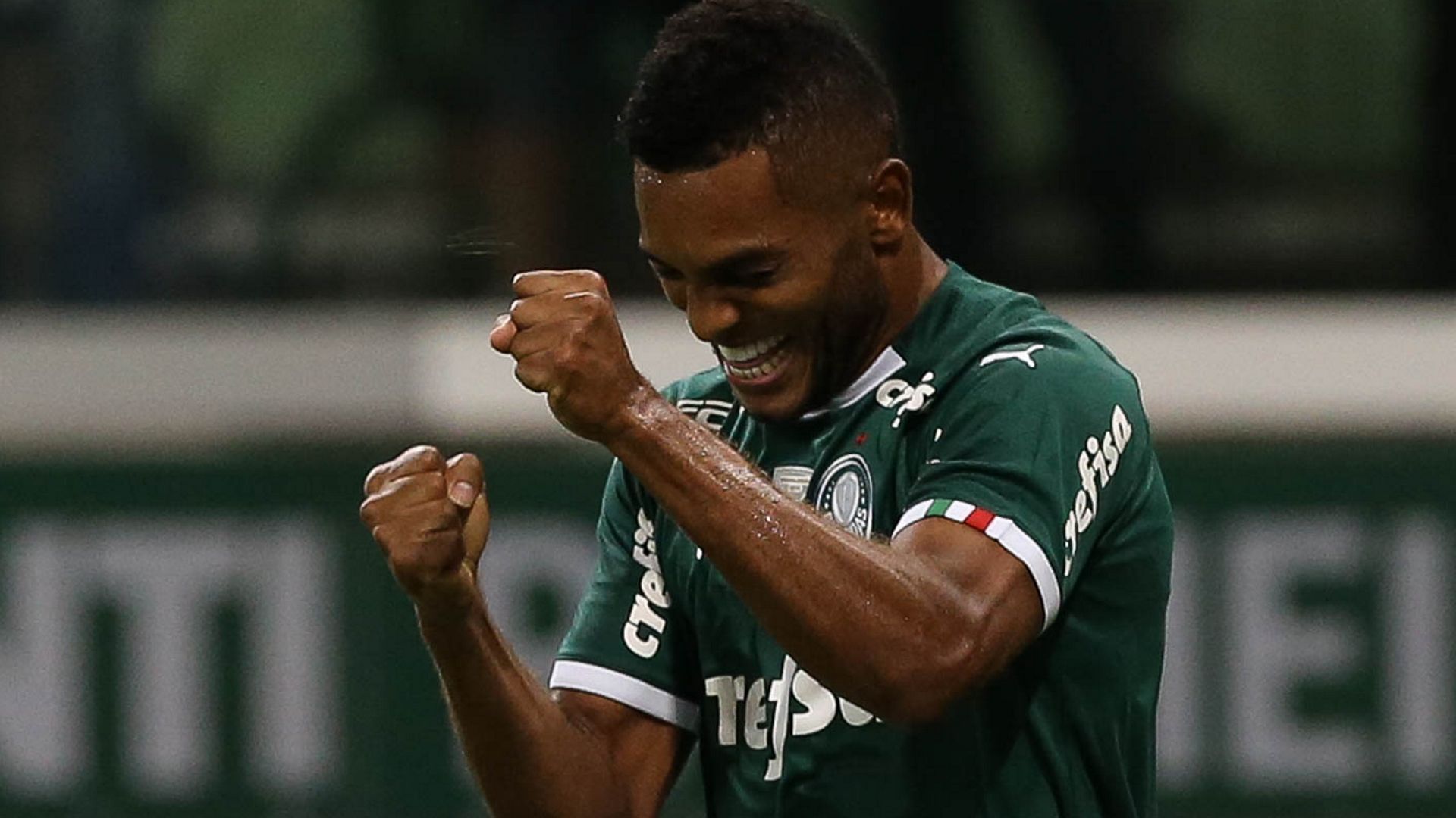 Miguel Borja Palmeiras 2019