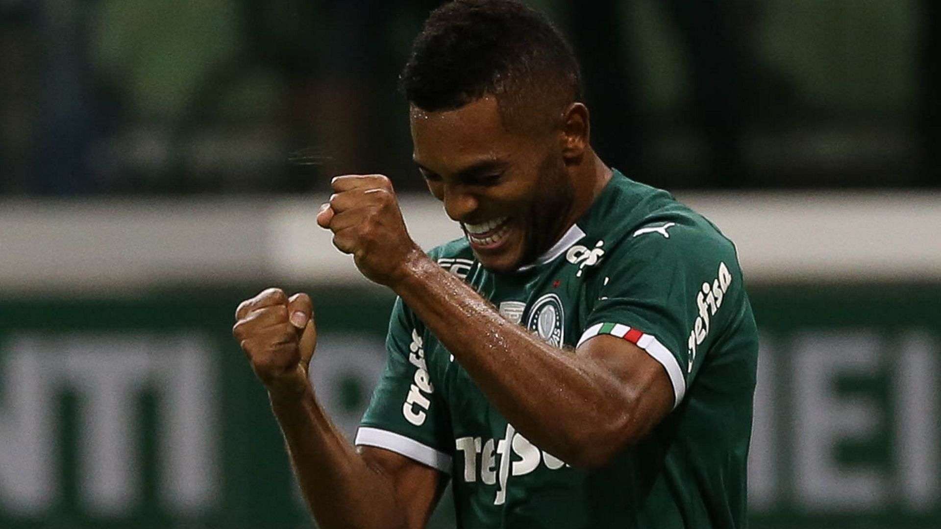 Miguel Borja Palmeiras 2019