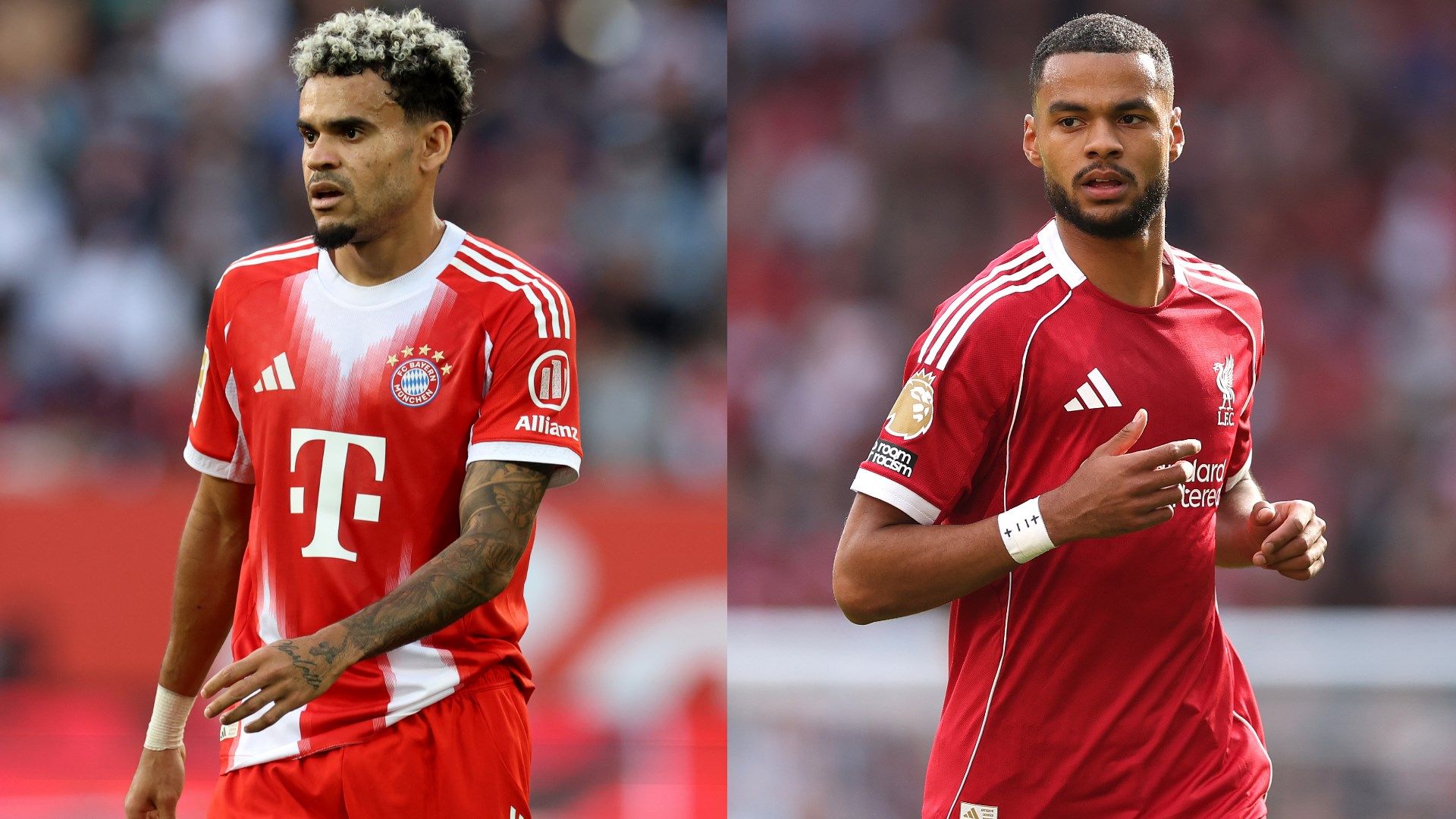 Liverpool star Cody Gakpo claims Bayern Munich tried to sign him before settling on Luis Diaz | Goal.com UK