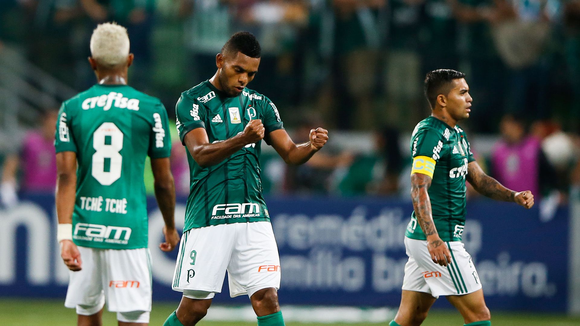 Miguel Borja Palmeiras Cruzeiro Brasileirao Serie A 30102017