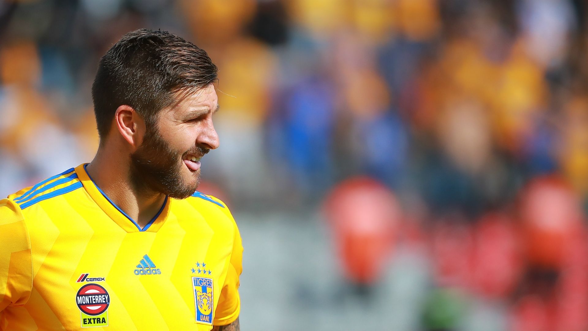 André-Pierre Gignac Tigres