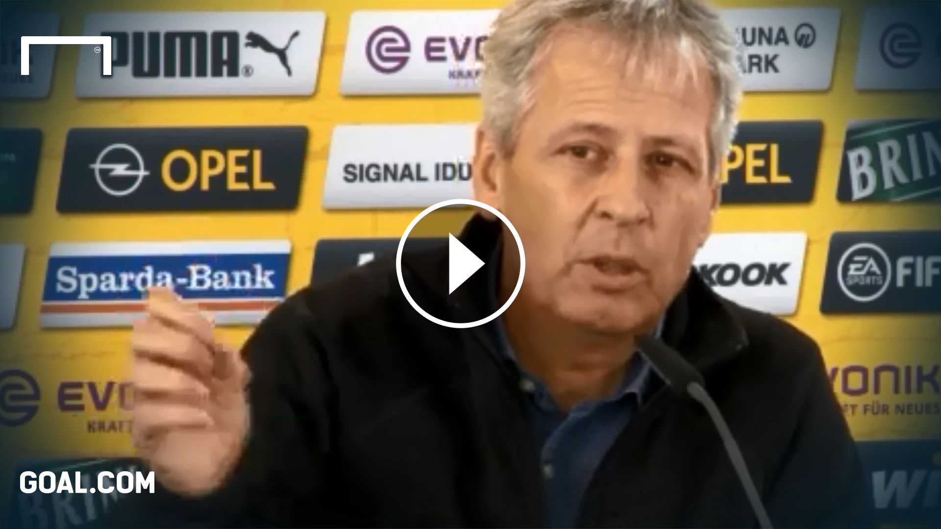 Lucien Favre GFX